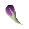 Magic fang