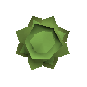 Cabbage round shield
