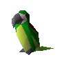 Shoulder parrot