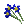 Blue flowers