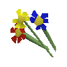 Mixed flowers
