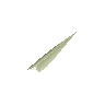 Bone fragments