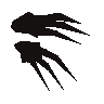 Black claws