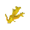 Elkhorn coral