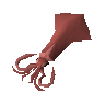 Jumbo squid