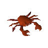 Red crab