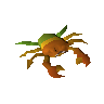 Rainbow crab