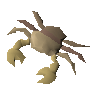 Raw rainbow crab meat
