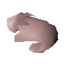 Raw rabbit