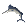 Raw marlin