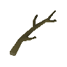 Willow branch