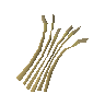 Barley
