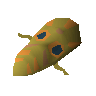 Broodoo shield (10)