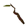 Beginner wand
