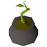 Bagged plant 2