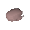 Raw bird meat