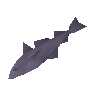 Haddock
