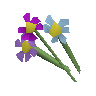 Assorted flowers