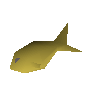 Mackerel