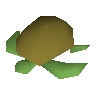 Raw sea turtle