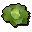 Cabbage