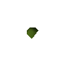 Kwuarm seed