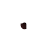 Watermelon seed