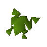 Swamp toad