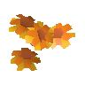 Marigolds