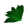 Doogle leaves