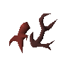 Broken antler