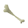 Bone club
