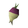 Shrunk ogleroot
