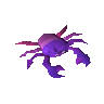 Rainbow crab