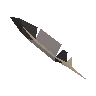Swift albatross feather