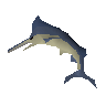 Raw marlin