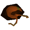 Lean snail meat