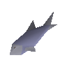 Raw cod