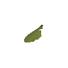 Maple seed