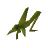 Locust meat