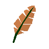 Orange feather