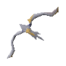 Craw
