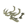 Drake bones