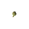 Potato cactus seed