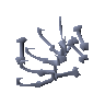 Wyrmling bones