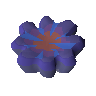 Umbral coral