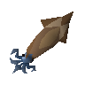 Swordtip squid