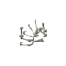 Strykewyrm bones