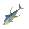 Yellowfin