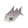 Raw tuna